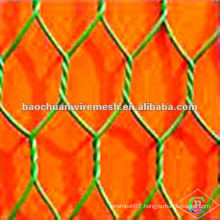 High quality green pvc coated hexagonal wire netting with preferential price in store